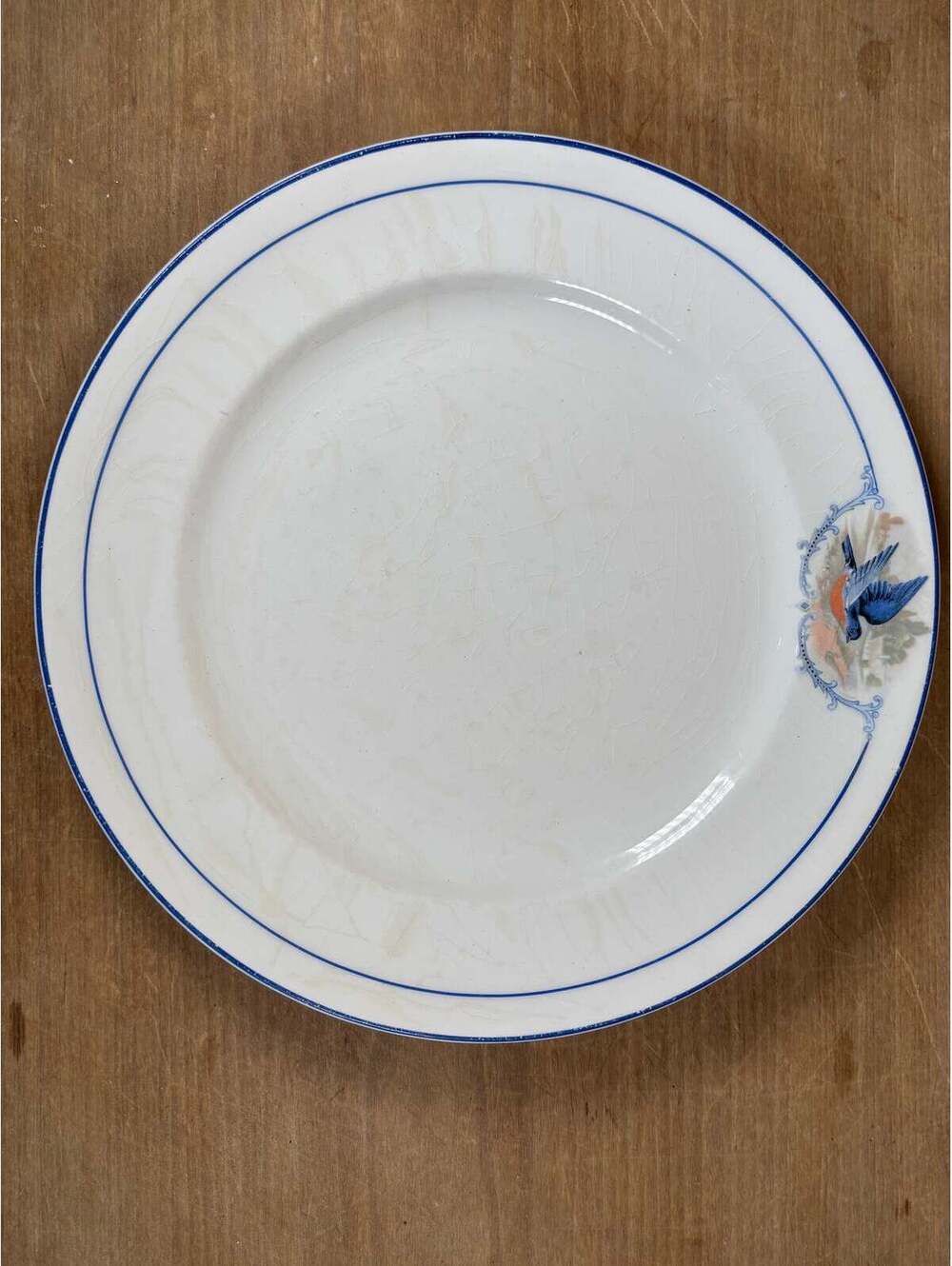 W.S. George Bluebird Plate - Picture 3 of 4